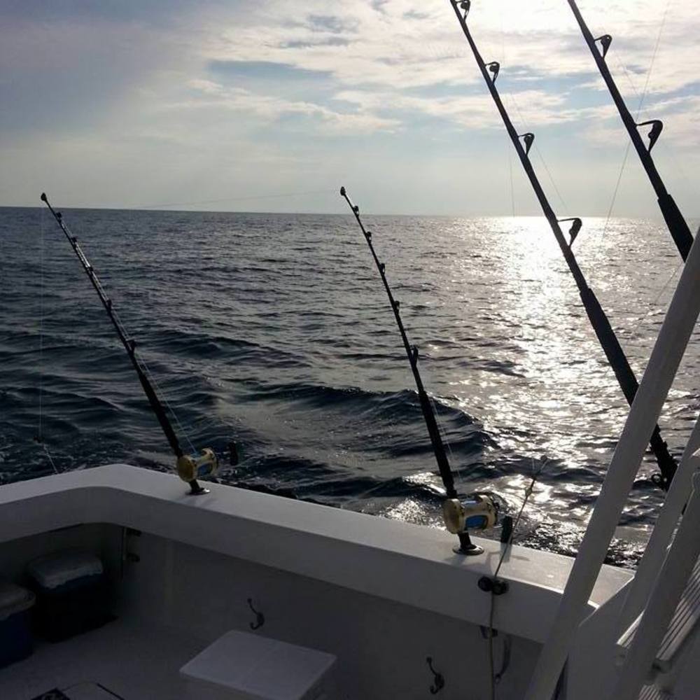 Meet your Posher, Carena